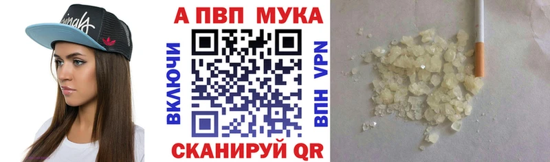 Альфа ПВП СК  блэк спрут как войти  Лодейное Поле 